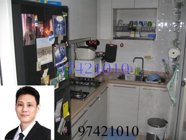 Blk 518C The Premiere @ Tampines (Tampines), HDB 5 Rooms #83216792
